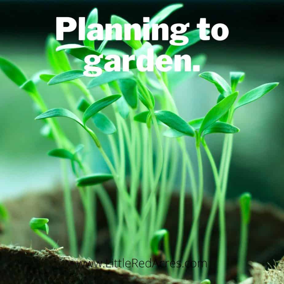 Planning to garden.