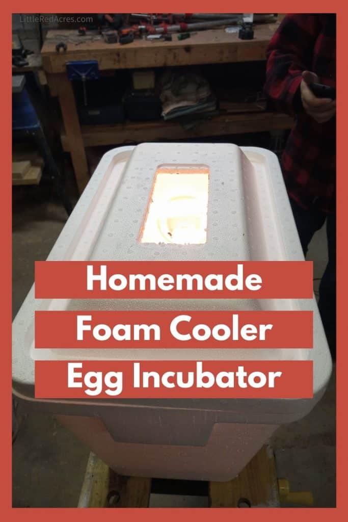 Foam Cooler Egg Incubator