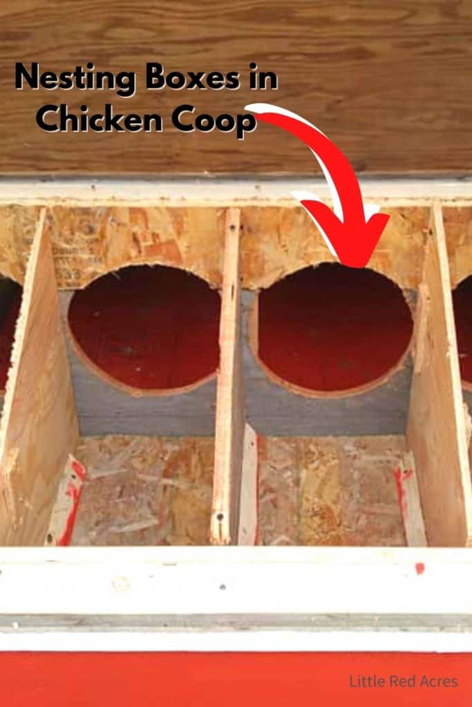 Chicken Coop Must Haves - inside coop picture of nesting box