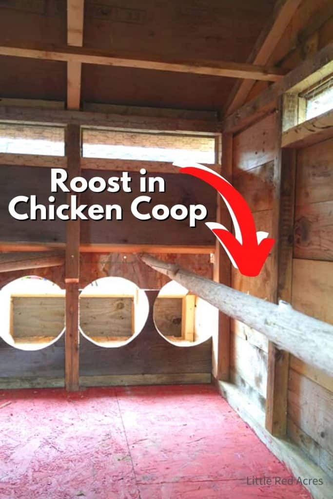 Chicken Coop Must Haves - picture of roost in chicken coop